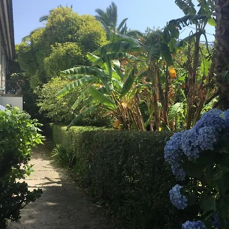 The Oaks House Foz *