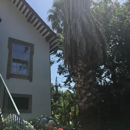 招待所 The Oaks House Foz *