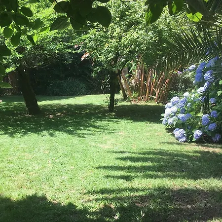 The Oaks House Foz Guest house Porto