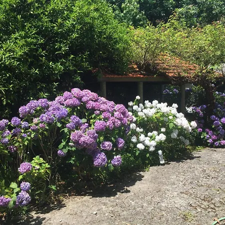 Guest house The Oaks House Foz Porto